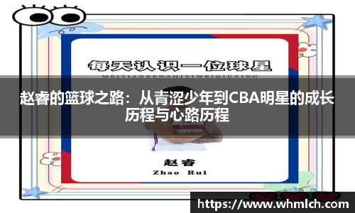 赵睿的篮球之路：从青涩少年到CBA明星的成长历程与心路历程