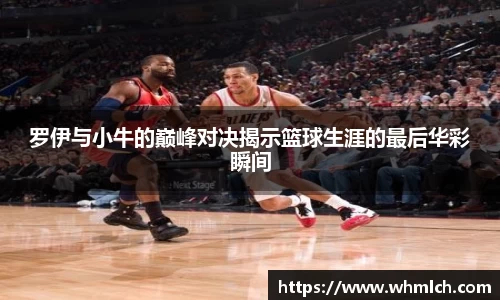 罗伊与小牛的巅峰对决揭示篮球生涯的最后华彩瞬间