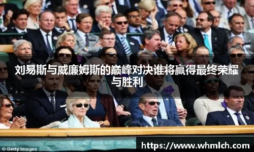 刘易斯与威廉姆斯的巅峰对决谁将赢得最终荣耀与胜利