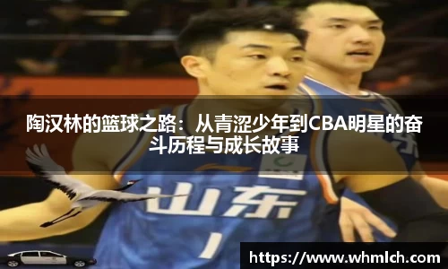 陶汉林的篮球之路：从青涩少年到CBA明星的奋斗历程与成长故事