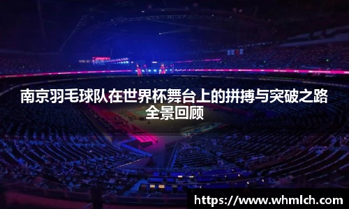 南京羽毛球队在世界杯舞台上的拼搏与突破之路全景回顾